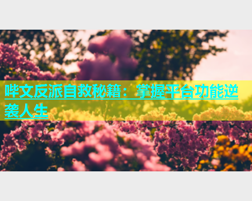 哔文反派自救秘籍：掌握平台功能逆袭人生  第1张