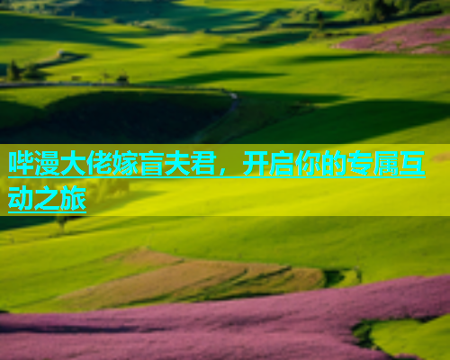 哔漫大佬嫁盲夫君，开启你的专属互动之旅  第2张