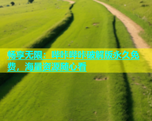 畅享无限：哔咔哔咔破解版永久免费，海量资源随心看