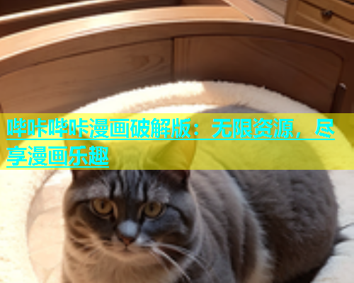 哔咔哔咔漫画破解版：无限资源，尽享漫画乐趣