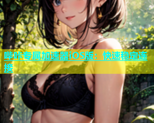 哔咔专属加速器iOS版：快速稳定连接  第2张