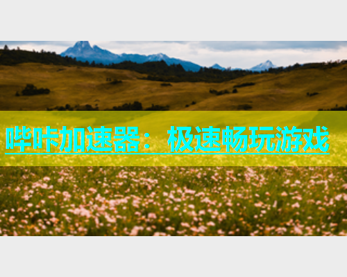 哔咔加速器：极速畅玩游戏  第1张
