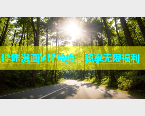 哔咔漫画VIP兑换，畅享无限福利