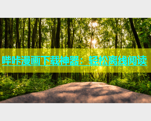 哔咔漫画下载神器：轻松离线阅读  第2张