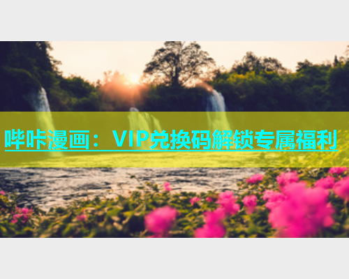 哔咔漫画：VIP兑换码解锁专属福利  第1张