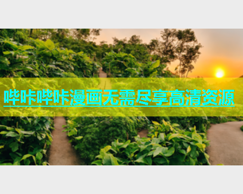 哔咔哔咔漫画无需尽享高清资源